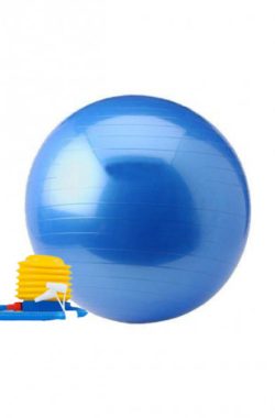 Gym Ball – Focus Fitness – 65 cm – incl. voetpomp