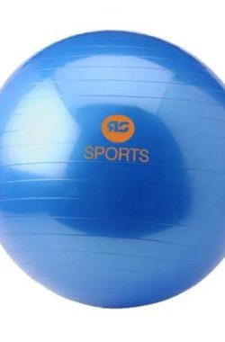 Gym Ball – Focus Fitness – 75 cm