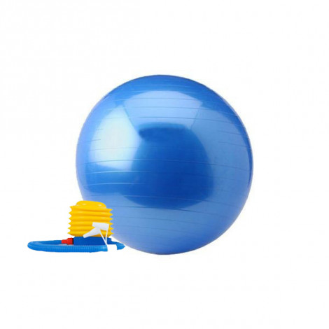 Gym Ball - Focus Fitness - 55 cm - incl. voetpomp