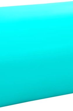 vidaXL – Gymnastiekrol – met – pomp – opblaasbaar – 120×90 – cm – PVC – groen