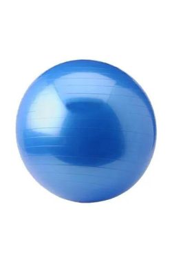 Gym Ball – Focus Fitness – 55 cm