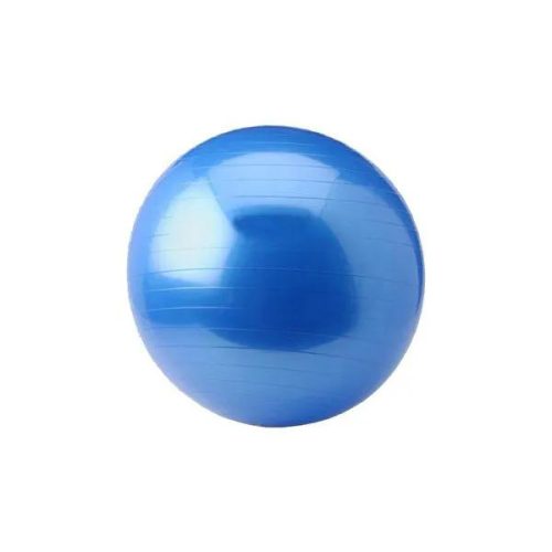 Gym Ball - Focus Fitness - 55 cm