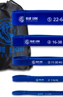 Blue Lion Powerband set – Fitness Weerstandsbanden set met 5 verschillende weerstanden – Resistance band set van 2 tot 60 KG – Met opbergtas