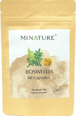 Boswellia Capsules 60 stuks – 450mg Poeder van Boswellia Serrata per Vega Capsule – 100% Plantaardig – Frankincense, Wierook
