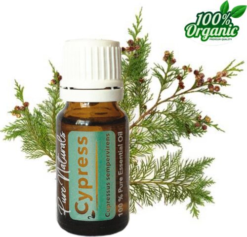 Cipres etherische Olie 10 ml | Cypress Oil | 100% PUUR | Bio | Essentiële olie Aromatherapie | Olie diffuser | Geschikt voor inname | Pure Naturals