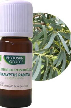 Phytosun Essentiële Olie Eucalyptus Radiata Bio – stimuleert de weerstand 10ml
