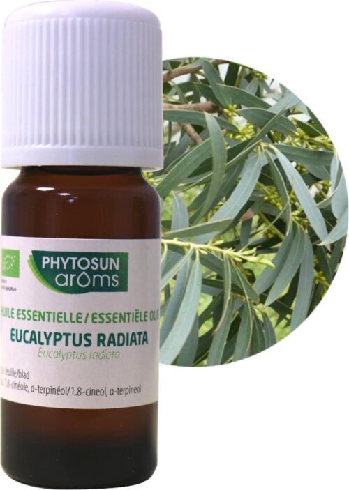 Phytosun Essentiële Olie Eucalyptus Radiata Bio - stimuleert de weerstand 10ml