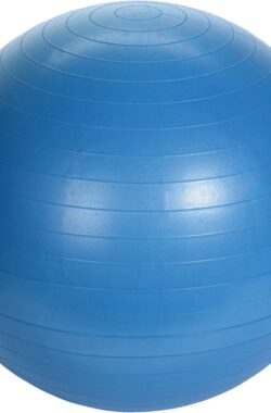 Grote blauwe fitnessbal/yogabal inclusief pomp 75 cm sport fitnessartikelen – Fitness/sport artikelen – Homegym producten