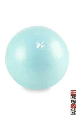 Gymstick Vivid Core Ball – Turquoise – 20 cm Met Online Trainingsvideo’s