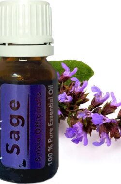 Essentiële Olie Aromatherapie – Biologisch – Sage (Salie) – Flesje 10ml – Pure Naturals