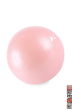 Gymstick Vivid Core Ball – Roze – 20 cm – Met Online Trainingsvideo’s