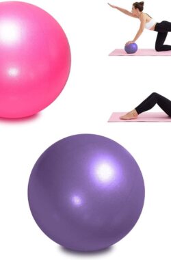 2 x Pilates Bal 9″ Kleine Oefenbal Stabiliteitsbal Yoga Barre Core Training Fysiotherapie met Opblaasbaar Rietje