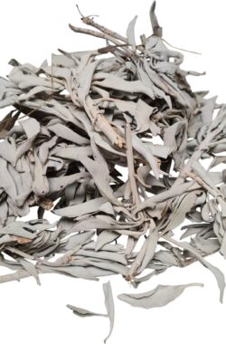 DongDong – Witte Salie los – White Sage clusters – zakje van 100 gram
