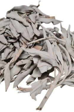 DongDong – Witte Salie los – White Sage clusters – zakje van 25 gram