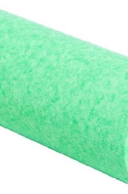 Blackroll Mini Foam Roller – 15 cm – Groen