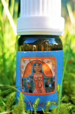 Goddess Bast Independence Oil – Energetische Aromatherapie – Chakra Olie – In the Light of the Goddess by Lieve Volcke – 10 ml