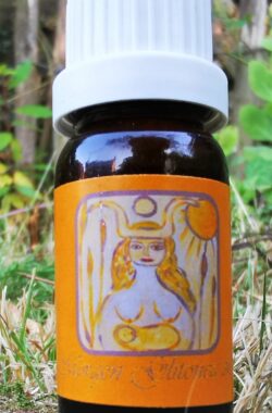 Morgen Glitonea Oil – Energetische Aromatherapie – Chakra Olie – In the Light of the Goddess by Lieve Volcke – 10 ml