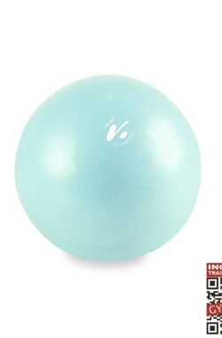 Gymstick Vivid Core Ball – Turquoise – 20 cm Met Online Trainingsvideo’s