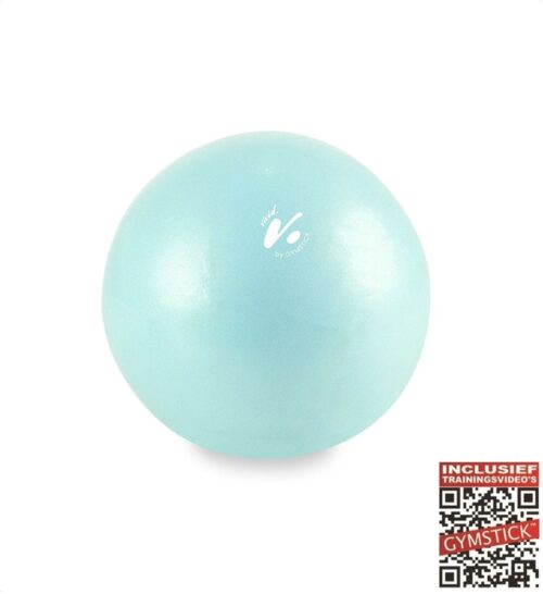 Gymstick Vivid Core Ball - Turquoise - 20 cm Met Online Trainingsvideo's