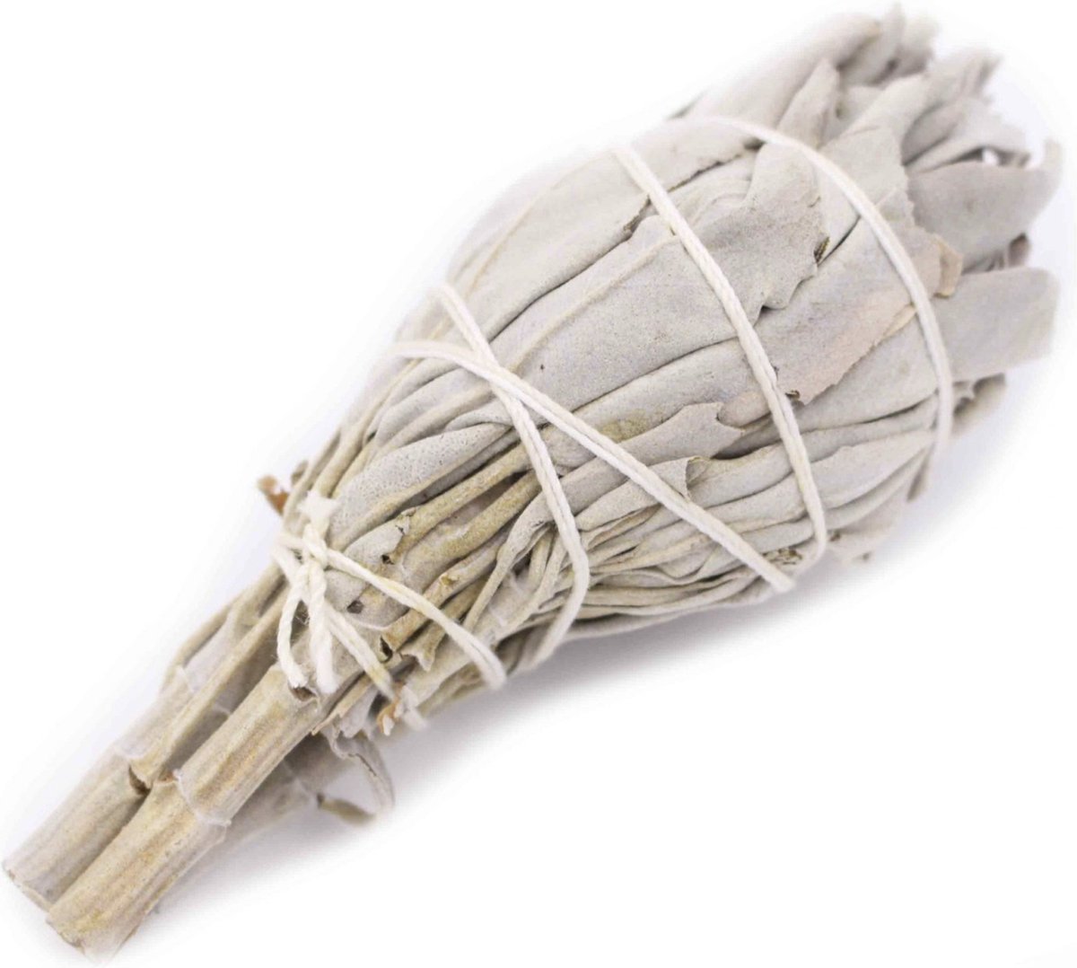 Witte Salie tulp - smudge stick - 1 stuk - 12cm