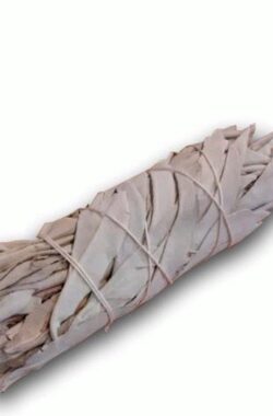 Witte Salie – white sage – smudge stick – 1 stuk – 10cm – meditatie – yoga – huis reiniging – zuivering