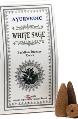 Ayurvedische Witte Salie backflow wierookkegels