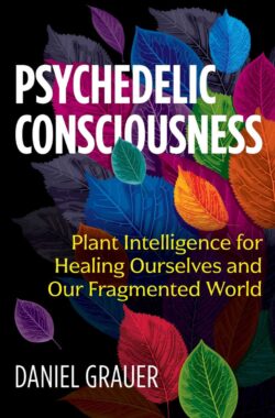 Psychedelic Consciousness