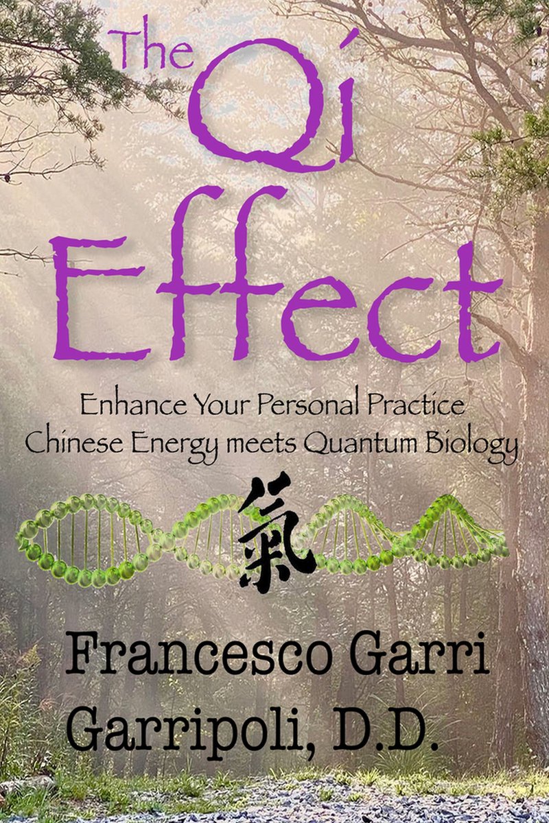 Qi Effect-The Qi Effect