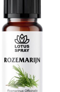 Rozemarijn – Etherische olie [10ml]